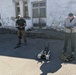 MSGs, FBI observe EOD training in Montenegro