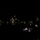 TACP Lightning Challenge 2022 A group of individuals, appearing to be military personnel in camouflage uniforms, are gathered in near-total darkness using small flashlights or headlamps to illuminate documents or maps. The scene suggests a nighttime field briefing, planning session, or training exercise. Multiple light sources create isolated pools of illumination against an otherwise completely dark background.