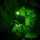 TACP Lightning Challenge 2022 A military soldier is photographed through a night vision device, producing the characteristic circular green-tinted field of view. The soldier is wearing combat fatigues with a shoulder patch and has a headlamp or night vision monocular mounted on their helmet. They appear to be examining or handling a weapon or piece of equipment in a low-light outdoor environment.