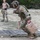TACP Lightning Challenge 2022 Military personnel in full combat gear are conducting what appears to be a training exercise in an outdoor, arid environment. The foreground soldier is running while carrying a tan water jerry can, wearing full tactical kit including helmet, body armor, and communications equipment. Additional soldiers are visible in the background observing or participating in the exercise.