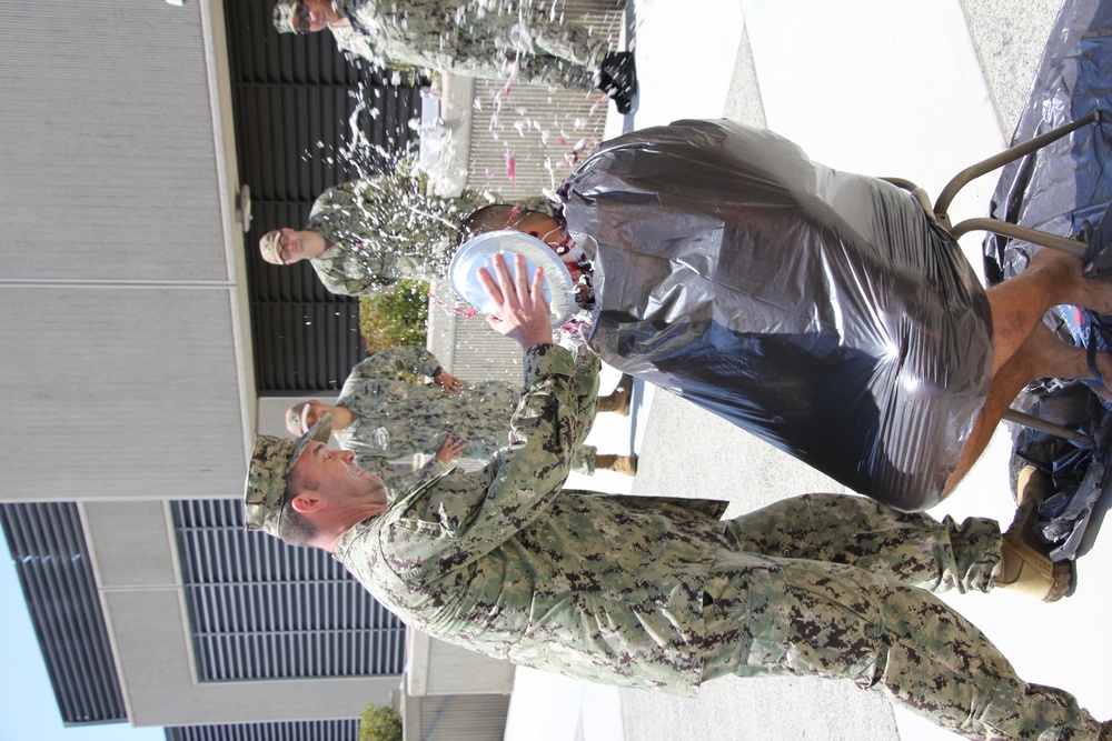 Pie in the Face