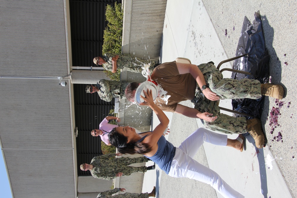 Pie in the Face