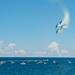 The Blue Angels perform over Pensacola Beach, Florida.