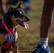 Service Members, Their Families and Civilians Participate in the 26th Annual Fort Bragg 10 Miler