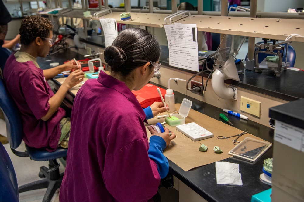 Dental Lab Technician Program