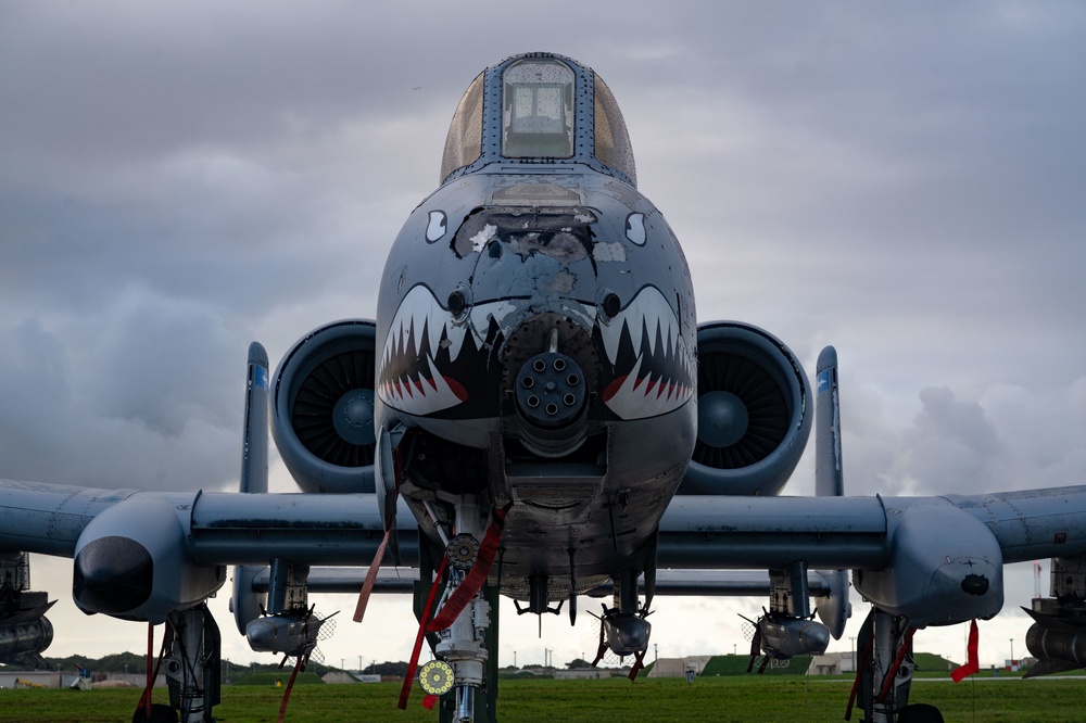MALD increases A-10C Thunderbolt II survivability, B1-B Lancer