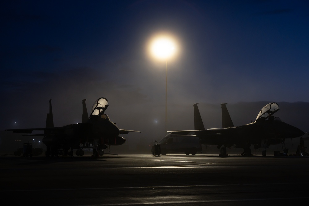 Eagles After Dark