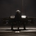 Eagles After Dark
