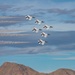 Aviation Nation 2022