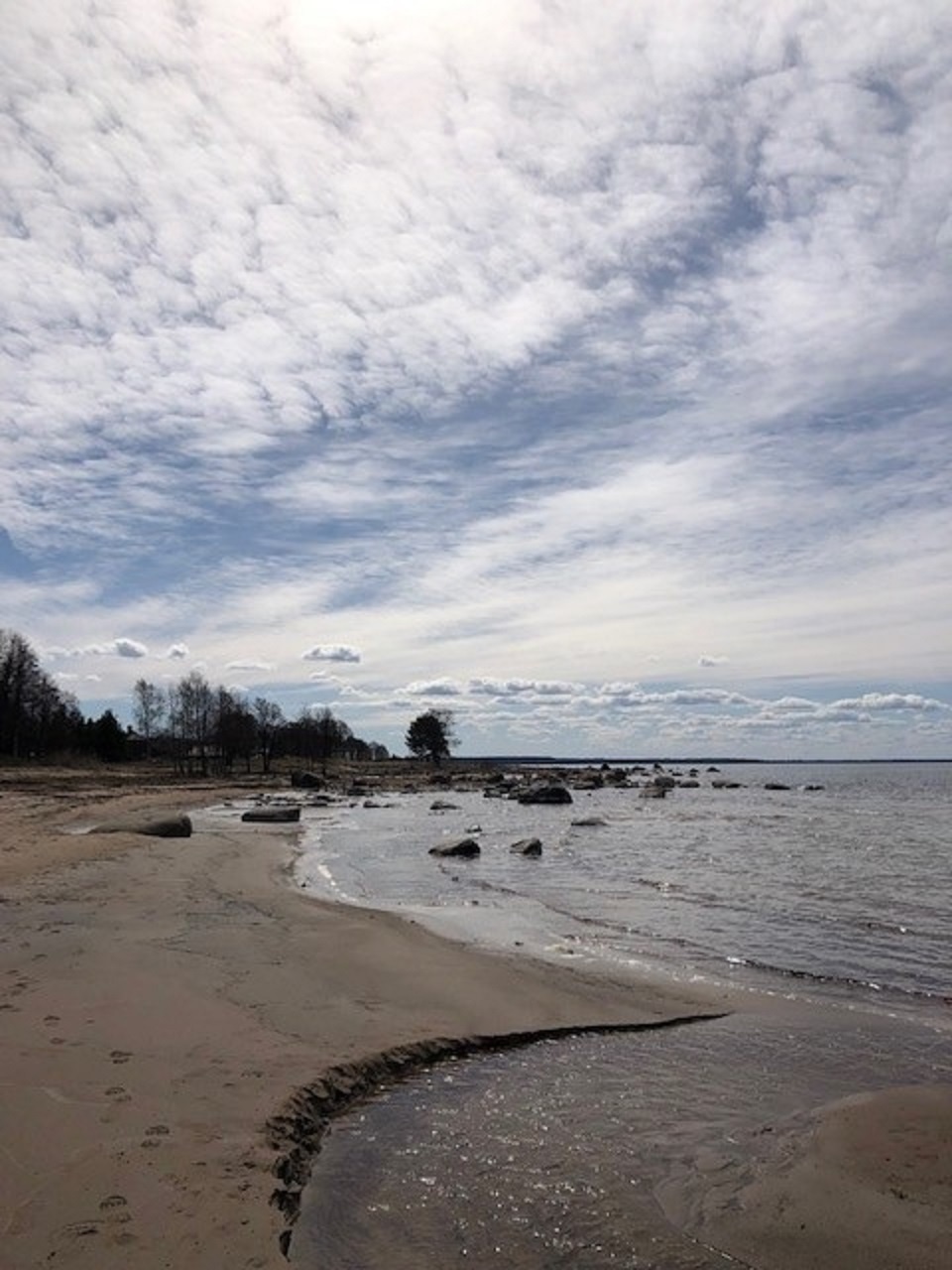 MSGs bike the Juminda Peninsula in Estonia