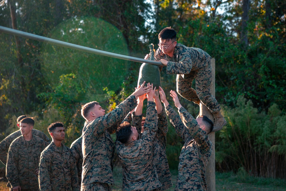 247th Marine Corps Birthday Physical Training