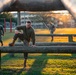247th Marine Corps Birthday Physical Training