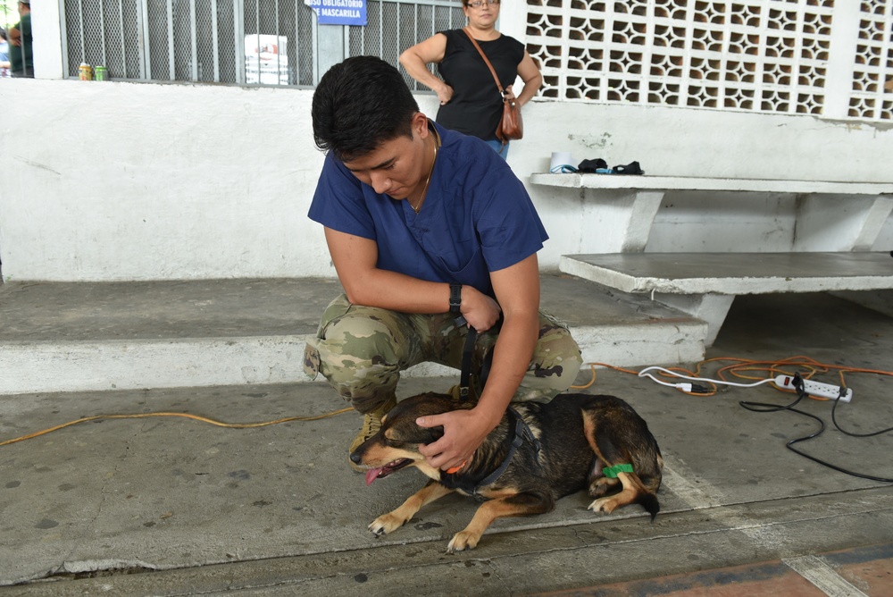 JTF-B conducts Spay/Neuter Clinic