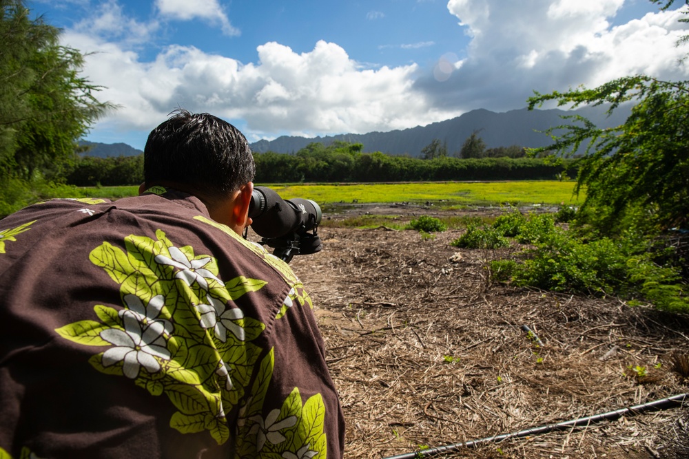 Joint Engagement Bellows Visit