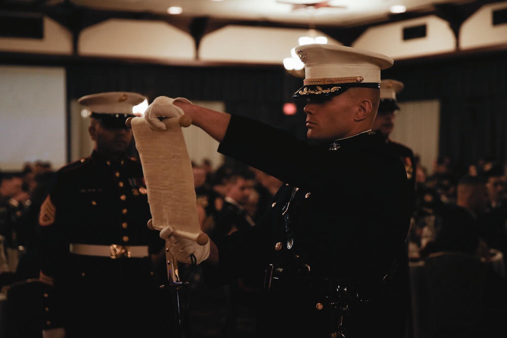 3d Marine Division Marine Corps Birthday Ceremony