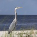 Engineering With Nature initiative contributes to White House roadmap for accelerating nature-based solutions