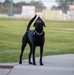 Coast Guard vice commandant visits units in Houston, Texas