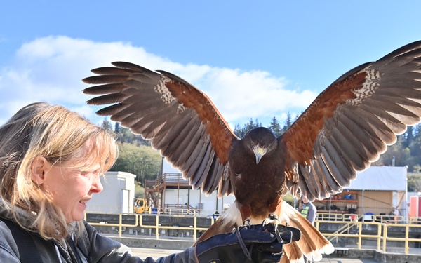 Birds of prey protect ballistic missile submarine workers