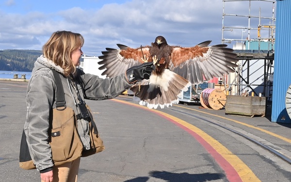 Birds of prey protect ballistic missile submarine workers
