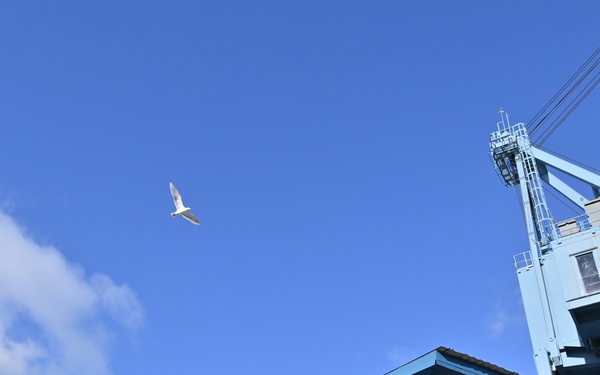 Birds of prey protect ballistic missile submarine workers