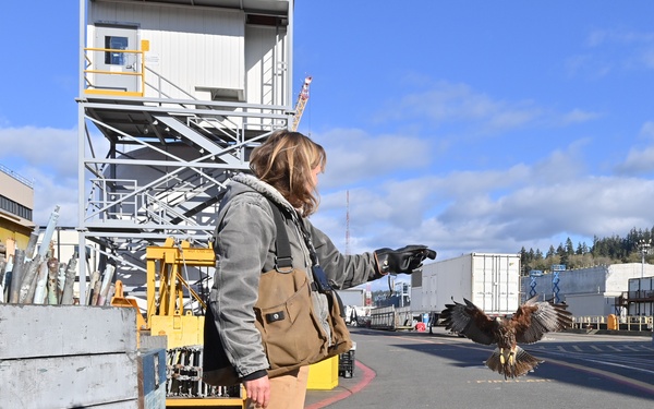 Birds of prey protect ballistic missile submarine workers