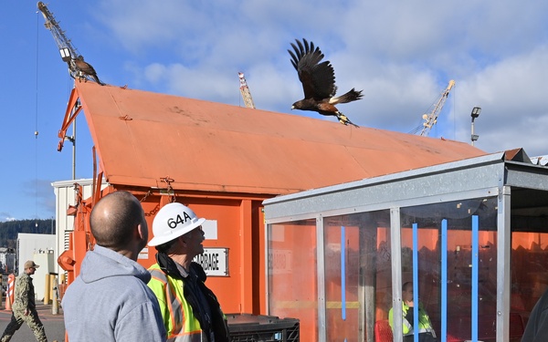 Birds of prey protect ballistic missile submarine workers
