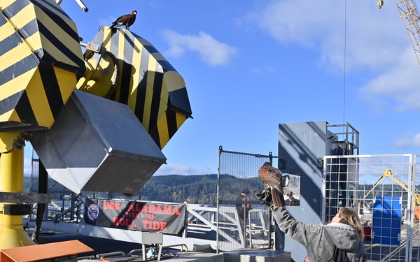 Birds of prey protect ballistic missile submarine workers