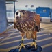 Birds of prey protect ballistic missile submarine workers