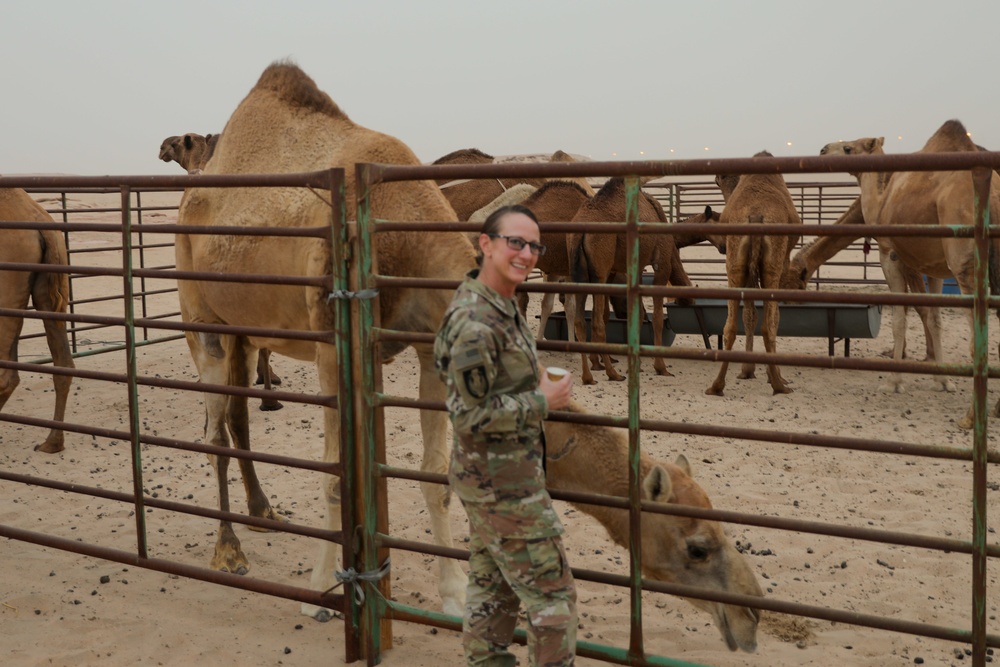 369th Sustainment Brigade Socializes With Kuwaiti Leaders