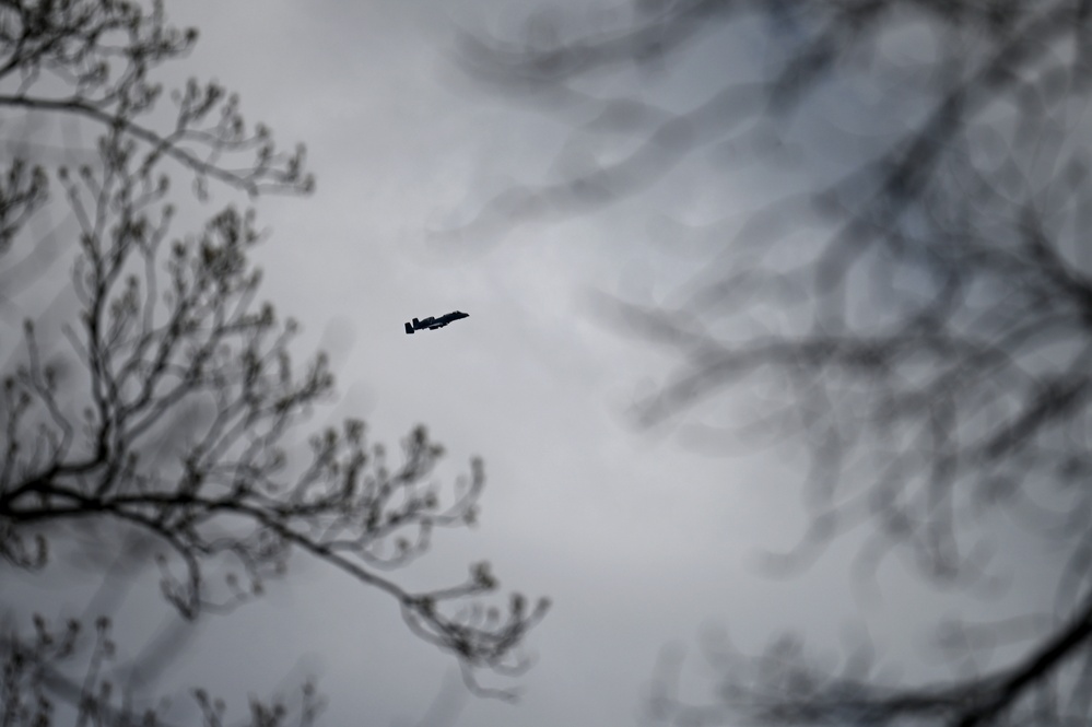 ST Operators Train Direct Action Skills