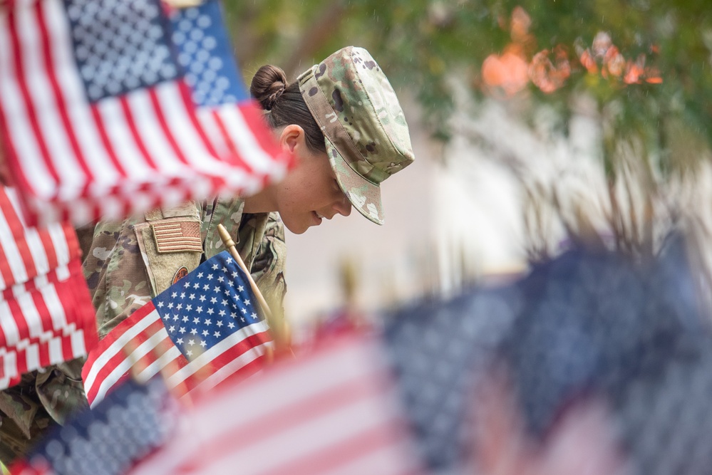 Veterans Day flag placing