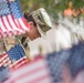 Veterans Day flag placing