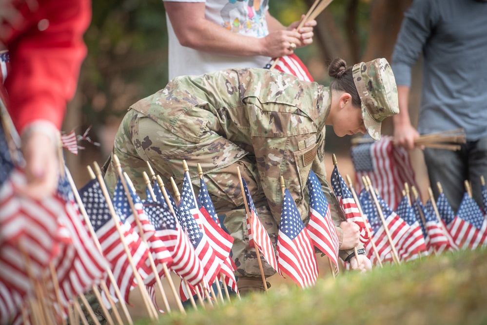 American flags for Veterans Day