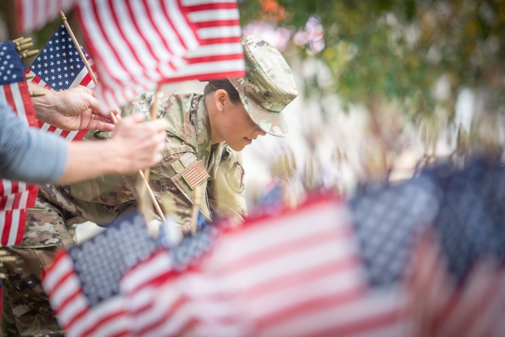 Veterans Day American flags