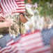 Veterans Day American flags