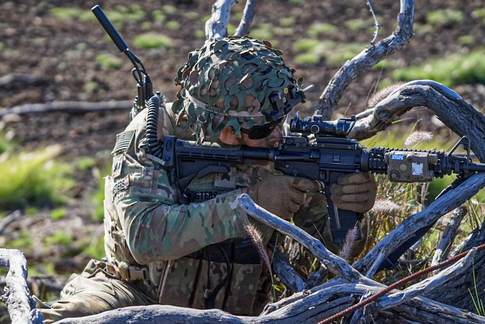 DVIDS - Images - Senior Leaders observe Soldiers maneuver [Image 2 of 3]