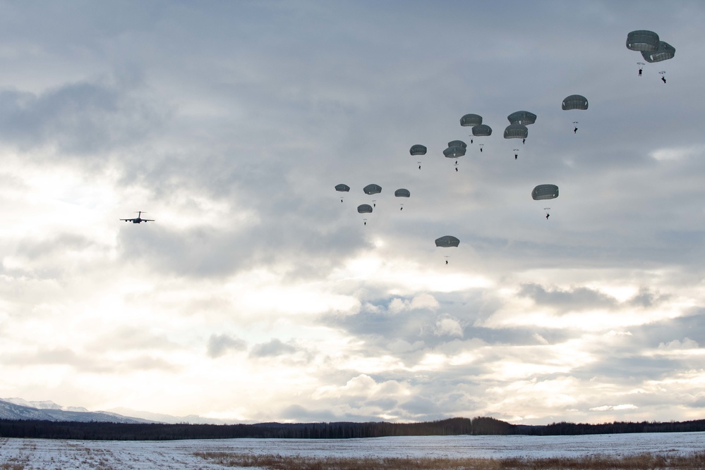 Arctic Angels jump over Malemute