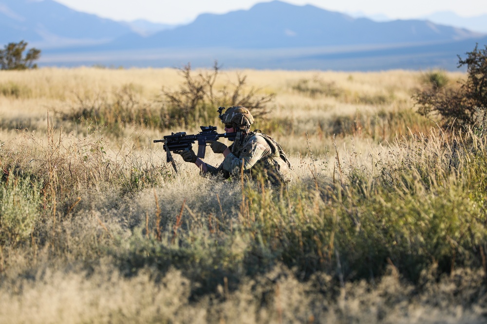 37th Infantry Brigade Combat Team Soldiers Conduct Live-fire Training Exercise