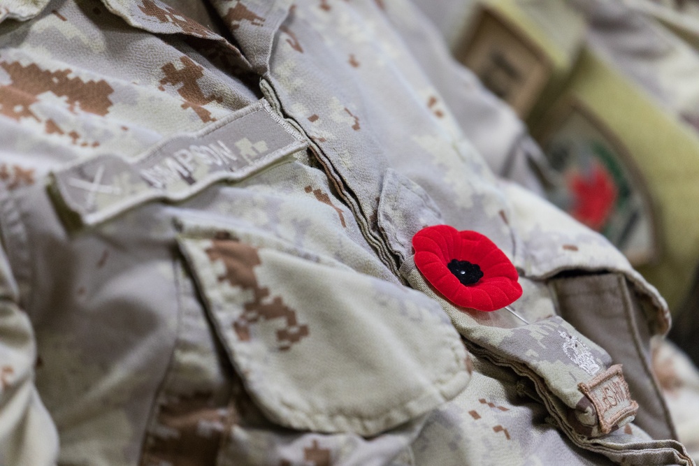 Coalition Veterans Honor Past and Present Service On Remembrance Day