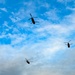 SCARNG flyover at Clemson Memorial Stadium Military Appreciation Day Game