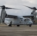 KEEN SWORD 23 | VMM-265 CONDUCTS FLIGHT OPERATIONS IN SUPPORT OF KEEN SWORD