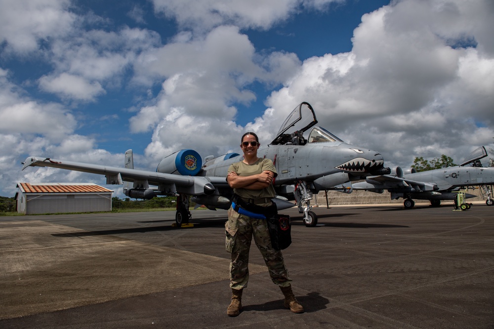 Dynamic Force Employment exercise in Republic of Palau