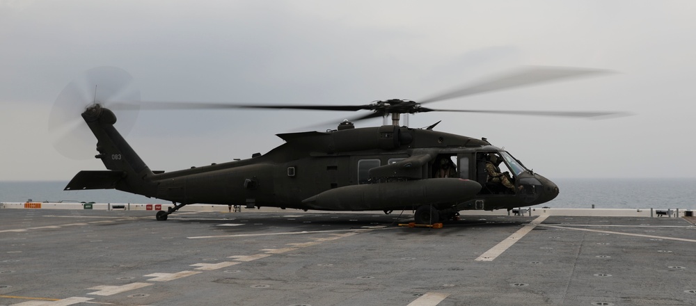 Task Force Mustang UH-60 Black Hawk and AH-64 Apache Flight Crews, land on the USS Lewis B. Puller