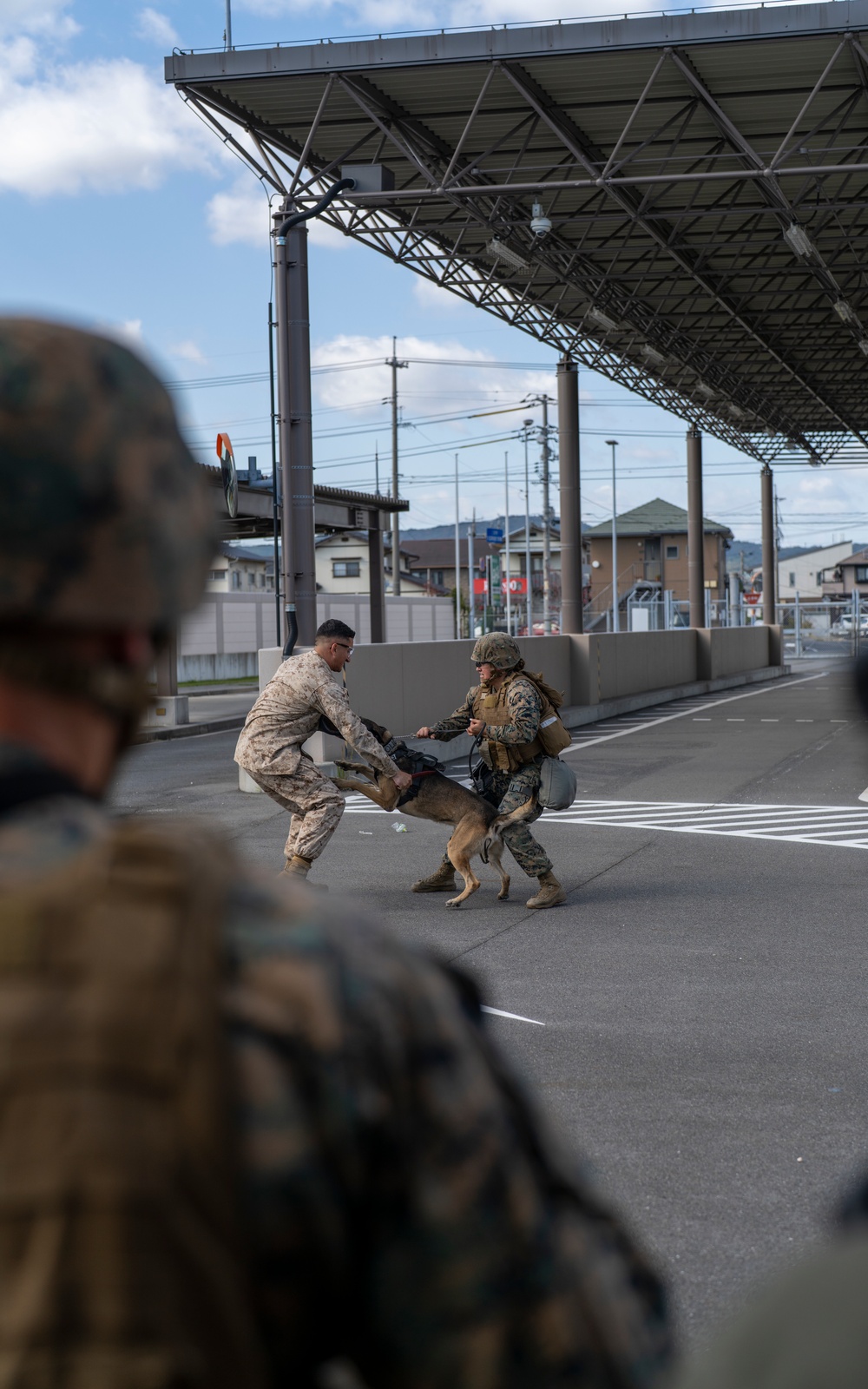 Exercise Active Shield 2022: MCAS Iwakuni Marines respond to simulated threat