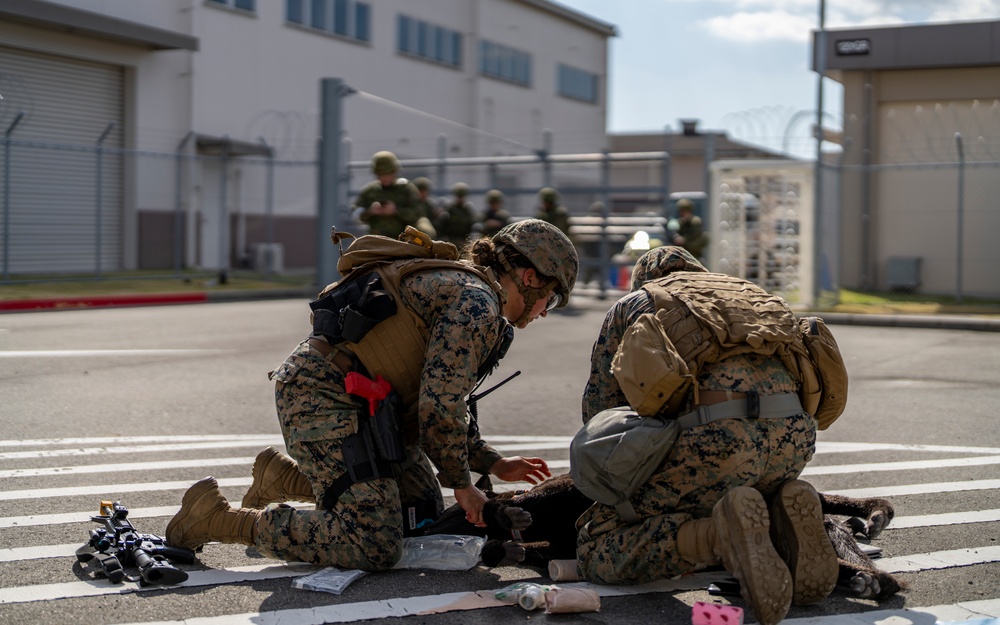 Dvids - Images - Exercise Active Shield 2022: Mcas Iwakuni Marines 