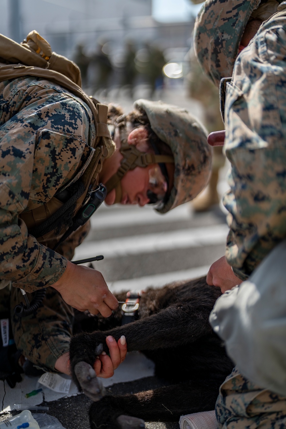 Exercise Active Shield 2022: MCAS Iwakuni Marines respond to simulated threat