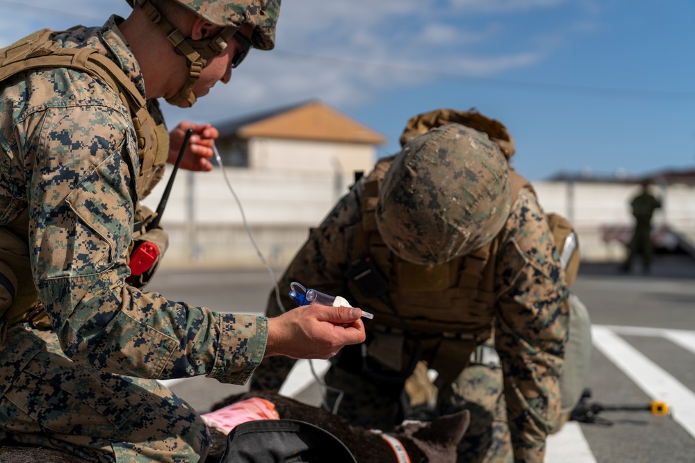 DVIDS - Images - Exercise Active Shield 2022: MCAS Iwakuni Marines ...