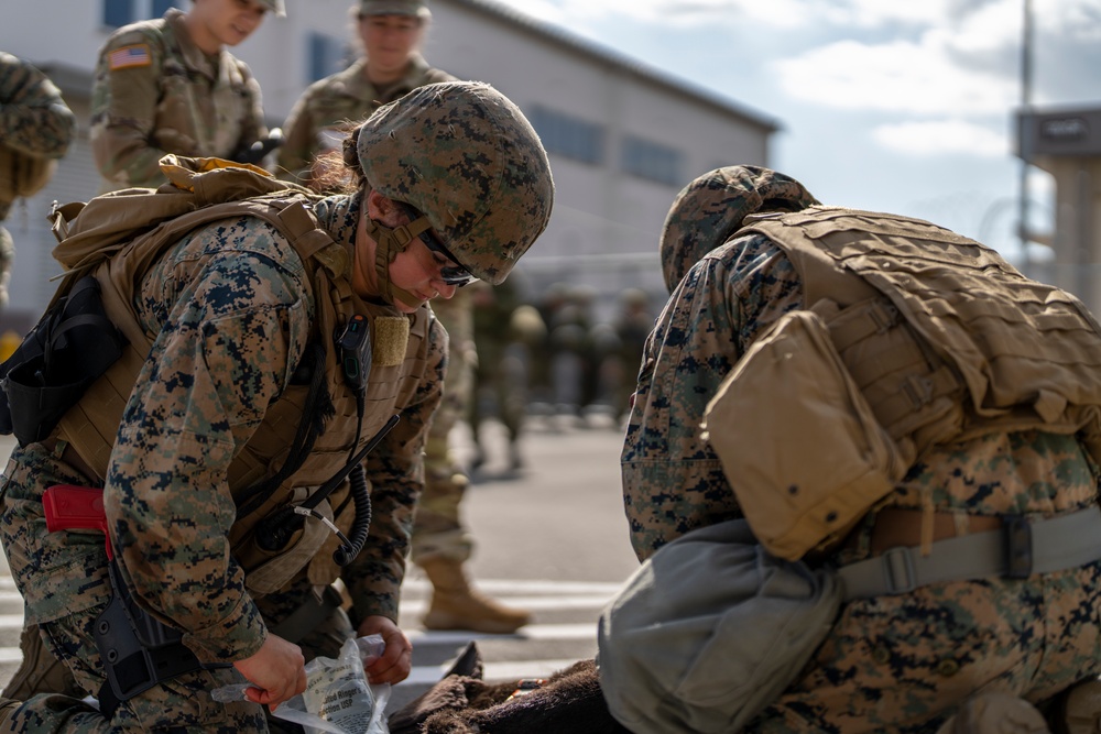 DVIDS - Images - Exercise Active Shield 2022: MCAS Iwakuni Marines ...