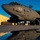 B52 puddle sunrise