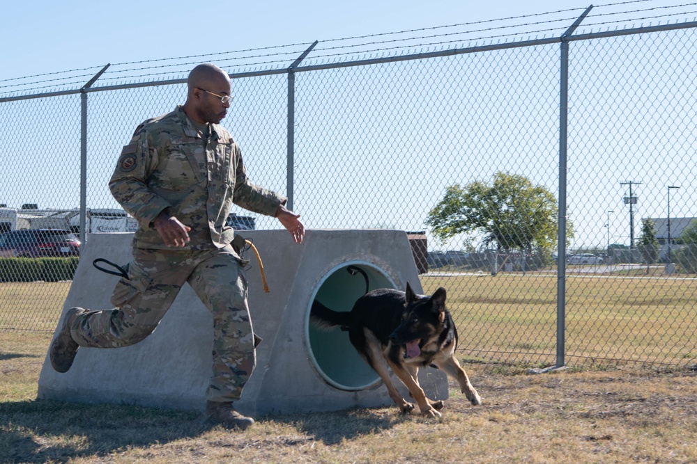 JBSA's Military Working Dogs Demonstrate Obedience Training